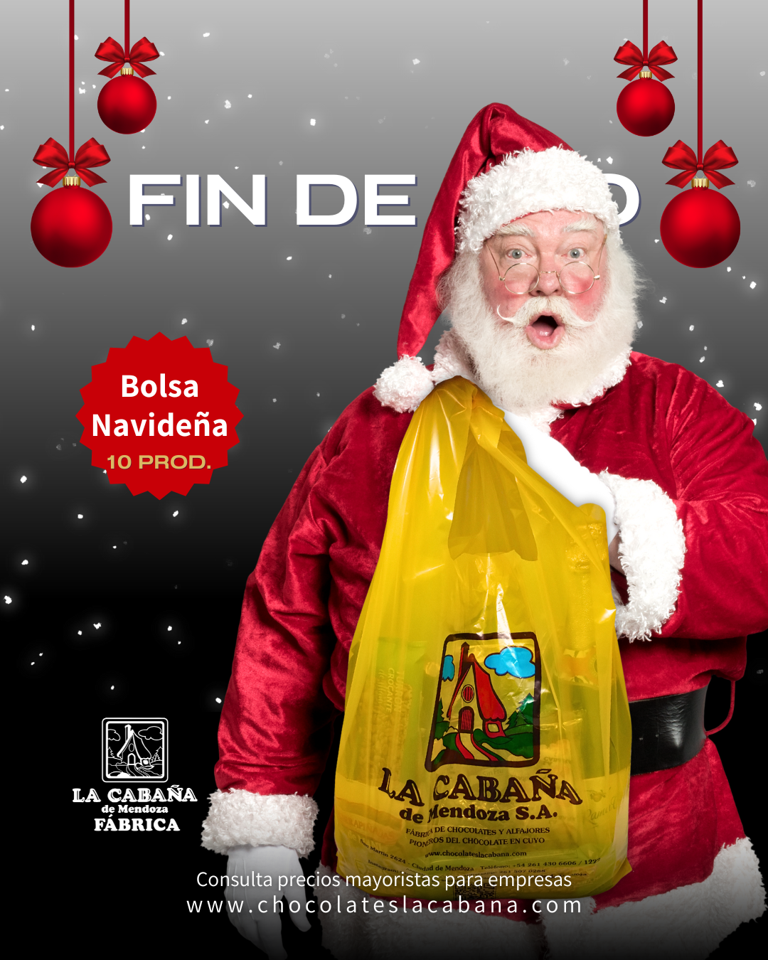 REGALO NRO 3 Maletín Navideño PREMIUM - 18 productos