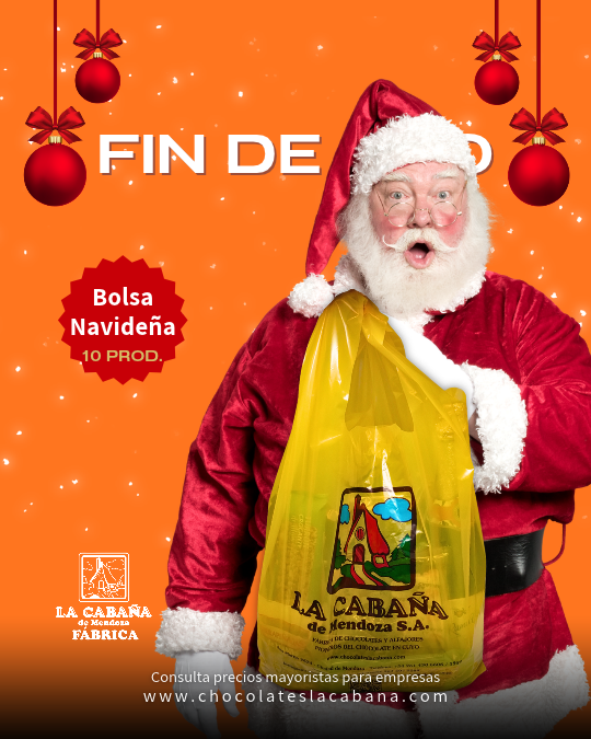 REGALO NRO 1 Bolsa Navideña - 10 productos